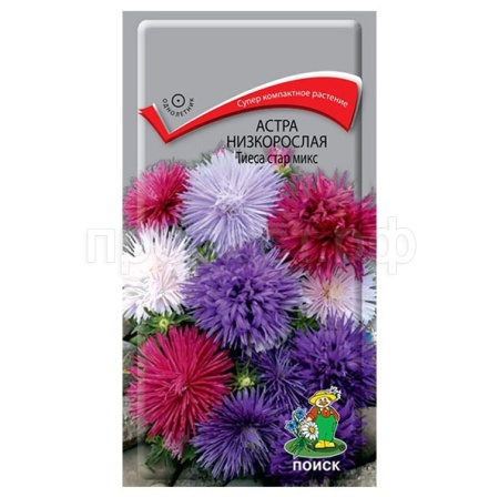 Астра низкорослая Тиеса стар микс 0,2г  Астра низкорослая Тиеса стар микс 0,2г