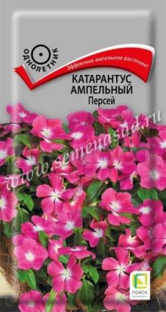 Катарантус ампельный Персей 10шт Катарантус ампельный Персей 10шт