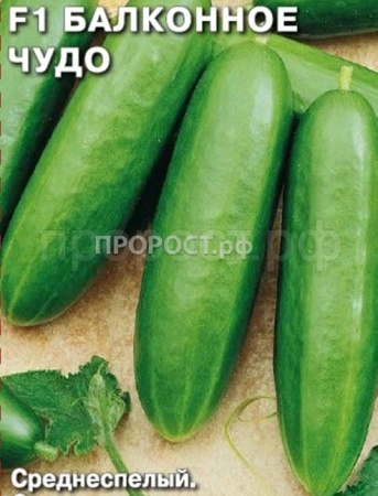 Седек Огурец Балконное Чудо F1 0,2г  