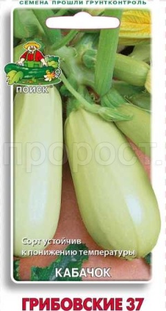Кабачок Грибовские 37 12шт  Кабачок Грибовские 37 12шт
