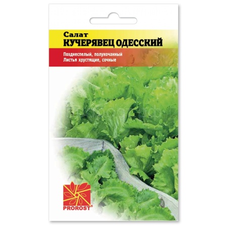 Салат Кучерявец Одесский 1г Салат Кучерявец Одесский 1г