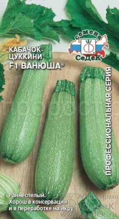 Седек Кабачок цуккини Ванюша F1 2г