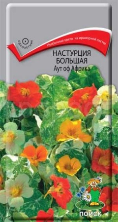 Настурция Аут оф Африка большая 1гр Настурция Аут оф Африка большая 1гр