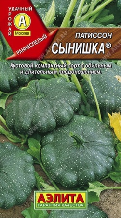 Аэлита Патиссон Сынишка 1г