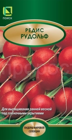 Поиск Редис Рудольф 2г 
