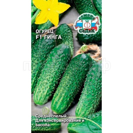 Седек Огурец Гинга F1 0,2