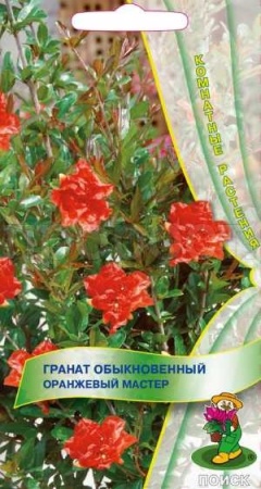 Гранат обыкновенный Оранжевый мастер 5шт Гранат обыкновенный Оранжевый мастер 5шт