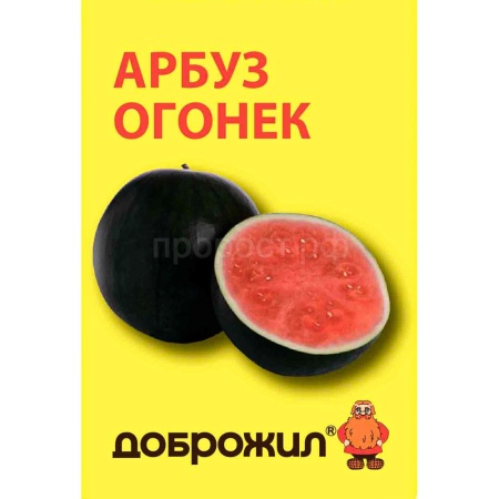 Арбуз Огонек 1г Арбуз Огонек 1г