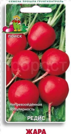 Редис Жара 3г  Редис Жара 3г