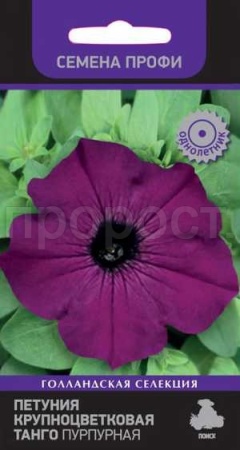 Петуния крупноцветковая Танго Пурпурная 15шт Петуния крупноцветковая Танго Пурпурная 15шт