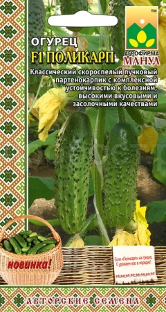 Огурец Поликарп F1 10 шт Манул