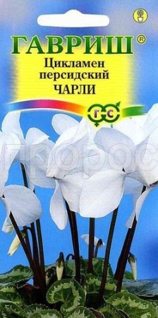 Цикламен персидский Чарли 3шт Цикламен персидский Чарли 3шт