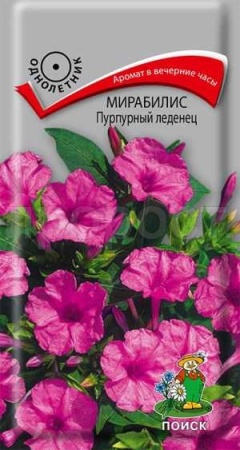 Мирабилис Пурпурный леденец 1г Мирабилис Пурпурный леденец 1г