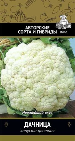 Капуста цветная Дачница 0,5г  Капуста цветная Дачница 0,5г
