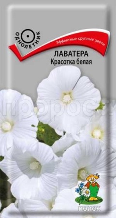 Лаватера Красотка белая 0,3г Лаватера Красотка белая 0,3г