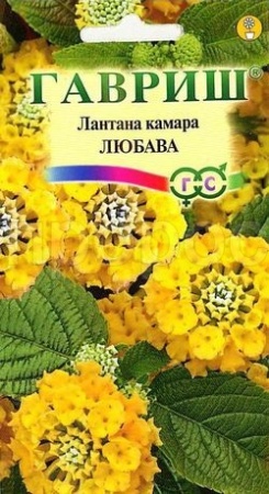 Лантана камара Любава 0,1 г Лантана камара Любава 0,1 г