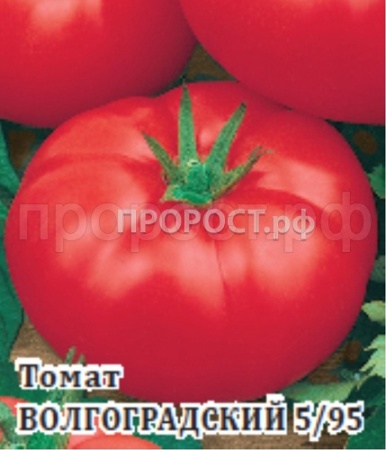 Томат Волгоградский 5/95 5 г Томат Волгоградский 5/95 5 г