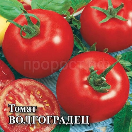 Томат Волгоградец 5 гр Томат Волгоградец 5 гр