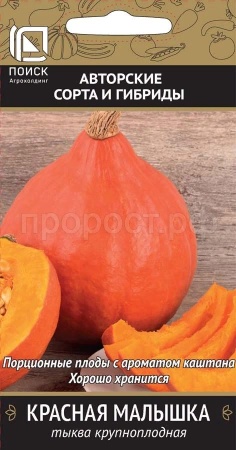 Тыква крупноплодная Красная малышка 10шт  Тыква крупноплодная Красная малышка 10шт