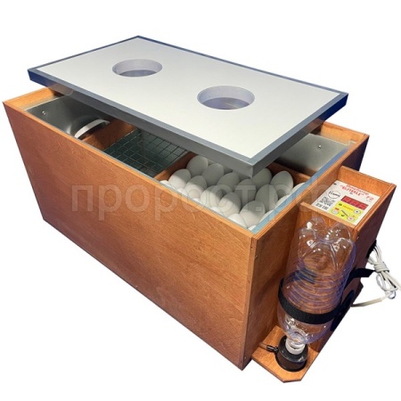 Инкубатор Блиц-72 Цифровая электроника,12В/220В Инкубатор Блиц-72 Цифровая электроника,12В/220В