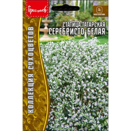 Редкие растения Статица Серебристо-Белая татарская 10шт 