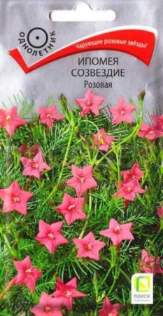 Ипомея Созвездие Розовая 0,3гр Ипомея Созвездие Розовая 0,3гр