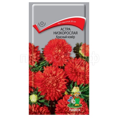 Астра низкорослая Красный ковер 0,2г  Астра низкорослая Красный ковер 0,2г