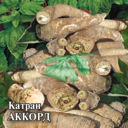 Катран Аккорд 100,0 г