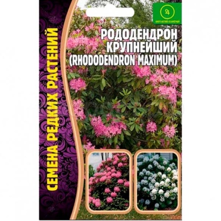 Рододендрон крупнейший 0,01г