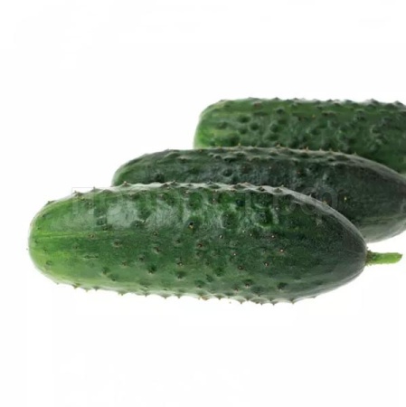 Каприс Огурец Аякс F1 20*10шт