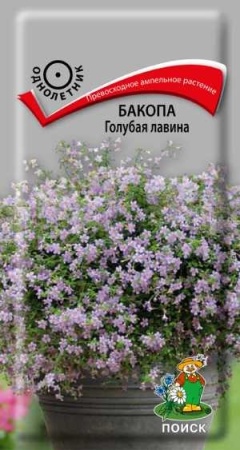 Бакопа Голубая лавина 5шт 