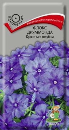 Флокс друммонда Красотка в голубом 0,1г Флокс друммонда Красотка в голубом 0,1г