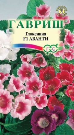 Глоксиния Аванти F1 4шт  Глоксиния Аванти F1 4шт