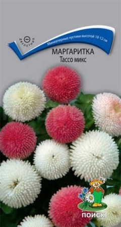 Маргаритка Тассо микс 20шт Маргаритка Тассо микс 20шт