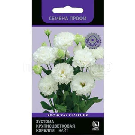 Эустома крупноцветковая Корелли Вайт 5шт Эустома крупноцветковая Корелли Вайт 5шт