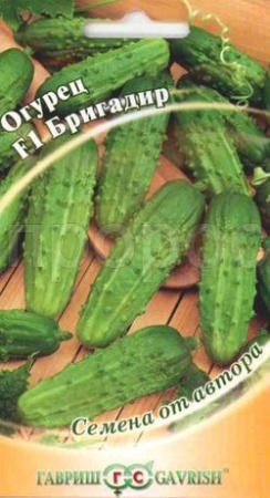 Огурец Бригадир F1 10шт  Огурец Бригадир F1 10шт