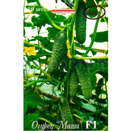Огурец Маша F1 20*10шт Огурец Маша F1 20*10шт