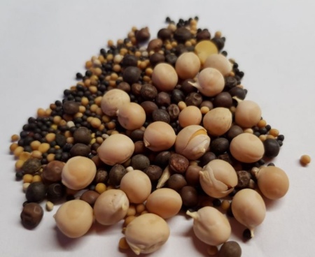 Семена трав сидератов для теплиц 3 кг. З.У. Семена трав сидератов для теплиц 3 кг. З.У.