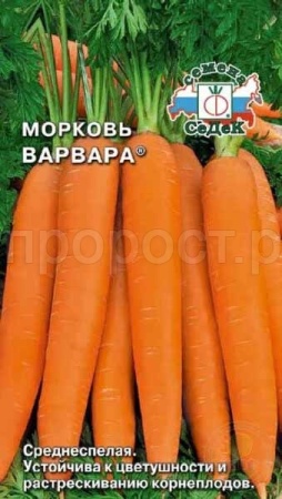 Седек Морковь Варвара 2г