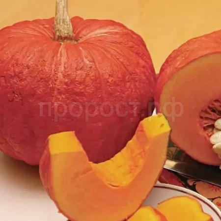 Тыква крупноплодная Конфетка 10шт Тыква крупноплодная Конфетка 10шт