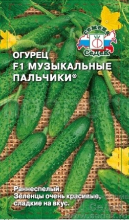 Седек Огурец Музыкальные пальчики F1 0,2г