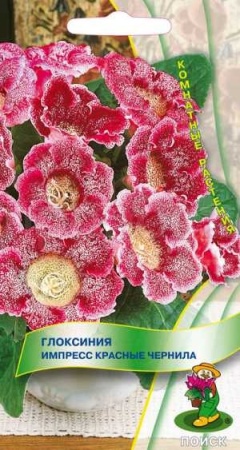 Глоксиния Импресс Красные чернила 5шт Глоксиния Импресс Красные чернила 5шт