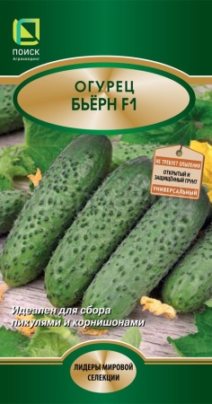 Поиск Огурец Бьерн F1 5шт