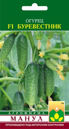 Огурец Буревестник F1 10 шт Огурец Буревестник F1 10 шт