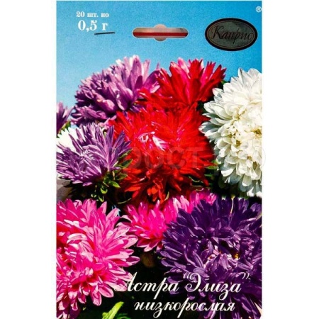 Астра смесь Элиза низкорослая 20*0,7