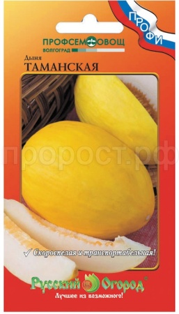 НК Дыня Таманская (Ю.О.) 1г