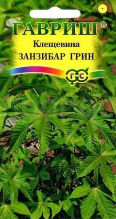 Клещевина Занзибар Грин 5шт Клещевина Занзибар Грин 5шт