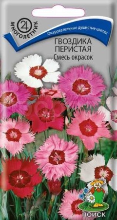 Гвоздика перистая Смесь окрасок 0,3г 