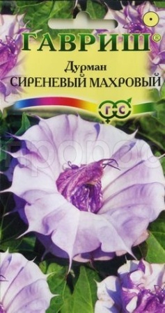 Дурман Сиреневый  Махровый 3шт  Дурман Сиреневый  Махровый 3шт