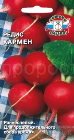 Редис Кармен  Редис Кармен